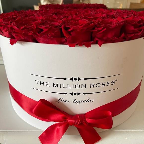 The Millions Roses - Picture 4 of 8